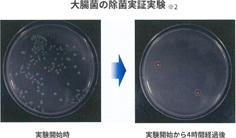 大腸菌除去実証実験の比較